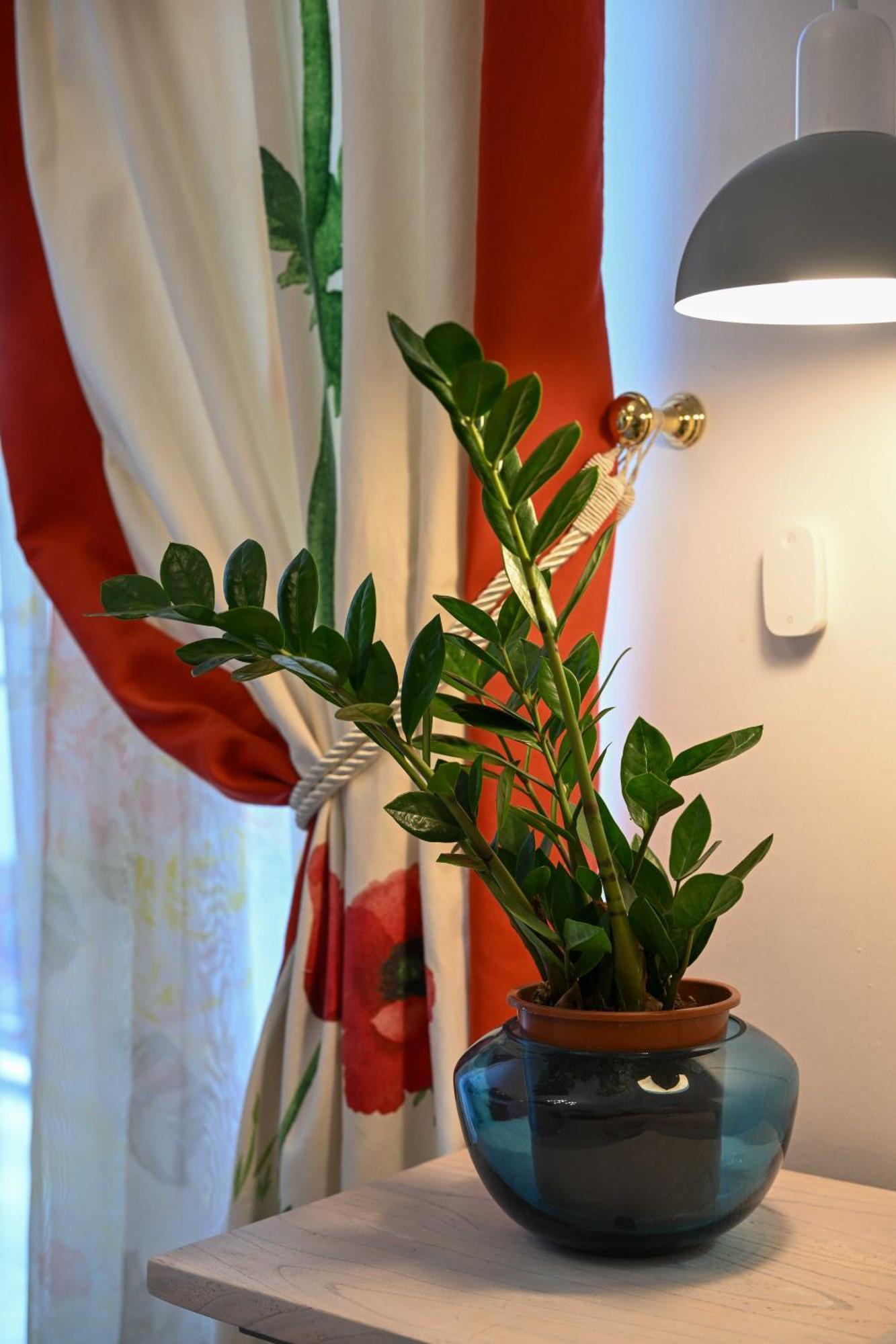 Academia ήσυχα & στο κέντρο Apartment Ioannina
